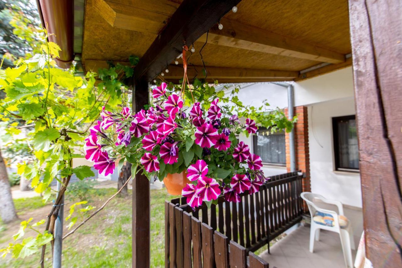 Apartman Marta I Soba Maja Gradiste Ngoại thất bức ảnh